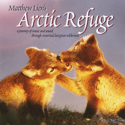 双飞麻将馆老板娘的背景资料
